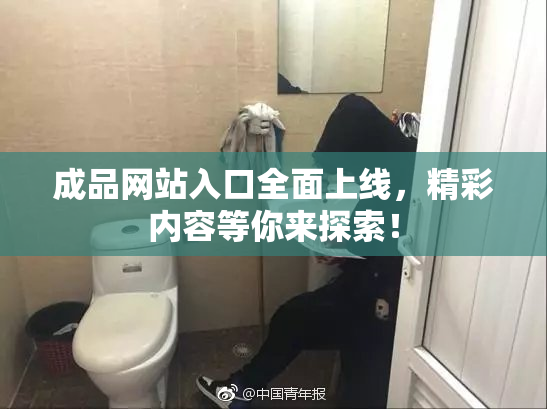 成品网站入口全面上线，精彩内容等你来探索！