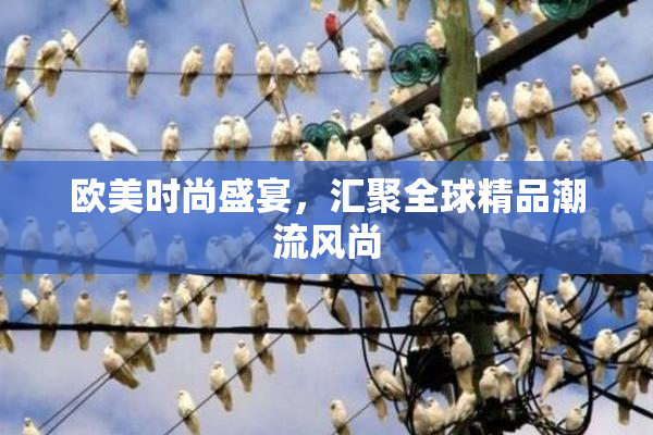 欧美时尚盛宴，汇聚全球精品潮流风尚