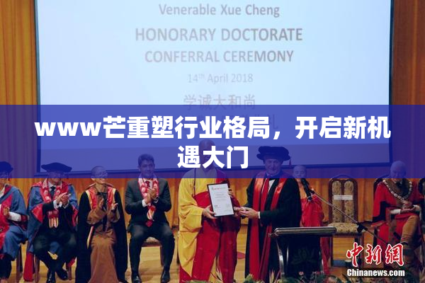 www芒重塑行业格局，开启新机遇大门