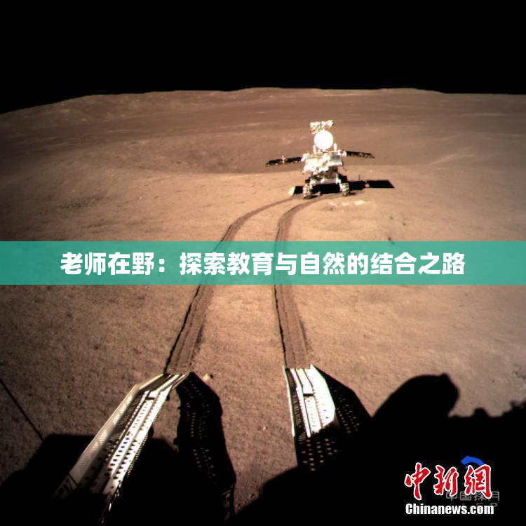 老师在野：探索教育与自然的结合之路