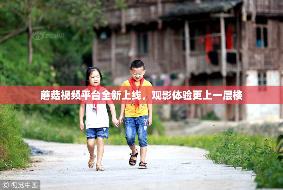 蘑菇视频平台全新上线，观影体验更上一层楼