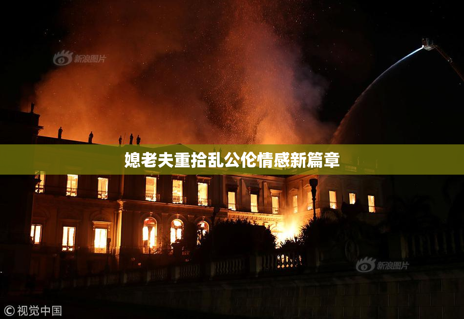 媳老夫重拾乱公伦情感新篇章