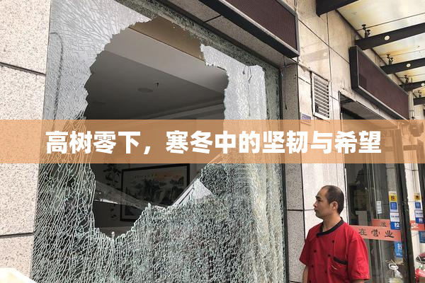 高树零下，寒冬中的坚韧与希望
