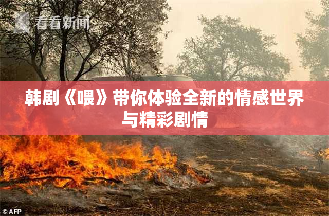 韩剧《喂》带你体验全新的情感世界与精彩剧情