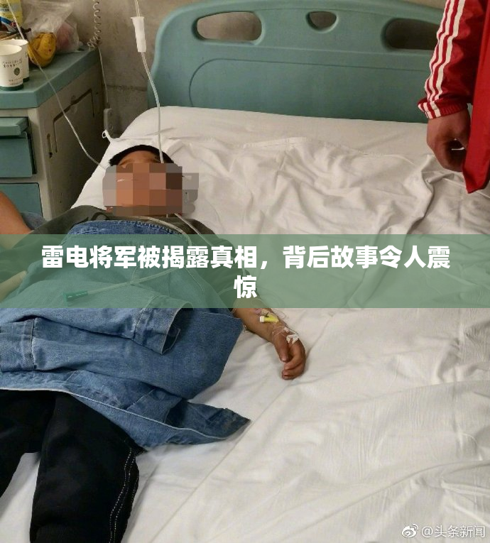 雷电将军被揭露真相，背后故事令人震惊