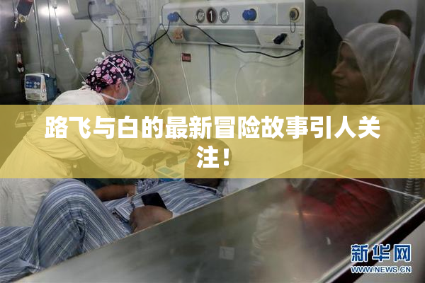 路飞与白的最新冒险故事引人关注！