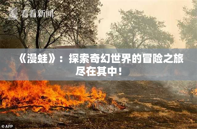 《漫蛙》：探索奇幻世界的冒险之旅尽在其中！
