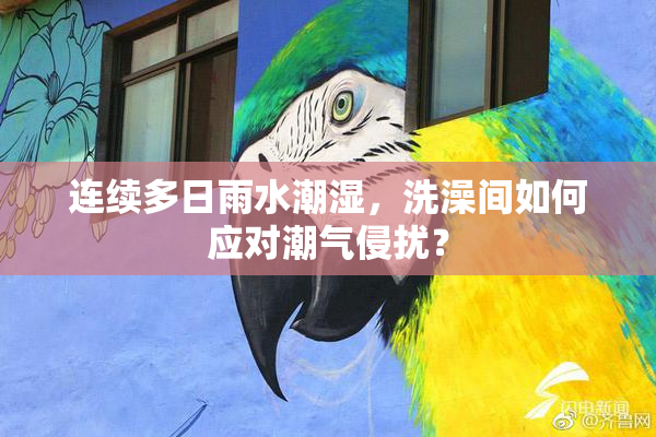 连续多日雨水潮湿，洗澡间如何应对潮气侵扰？