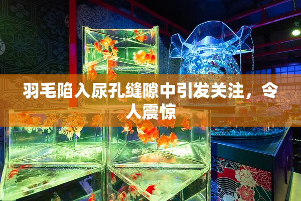 羽毛陷入尿孔缝隙中引发关注，令人震惊