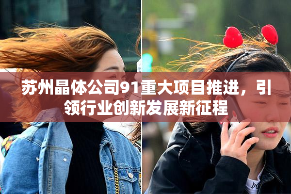 苏州晶体公司91重大项目推进，引领行业创新发展新征程