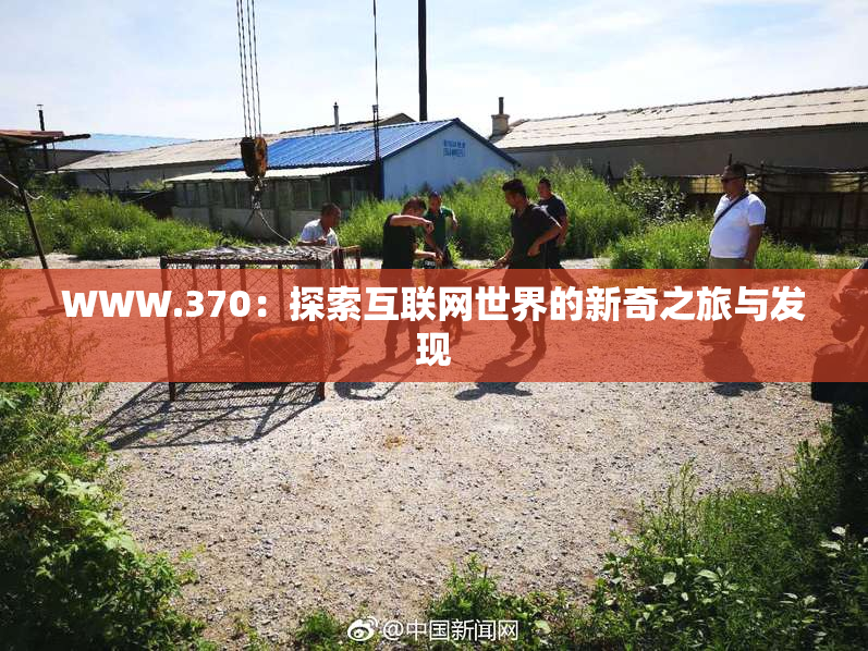 WWW.370：探索互联网世界的新奇之旅与发现