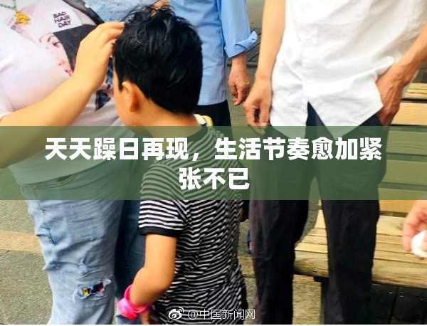 天天躁日再现，生活节奏愈加紧张不已