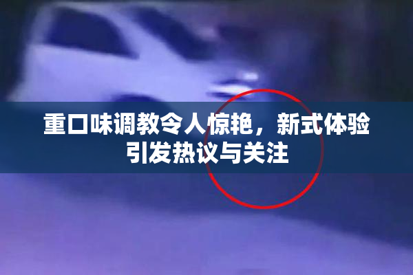 重口味调教令人惊艳，新式体验引发热议与关注