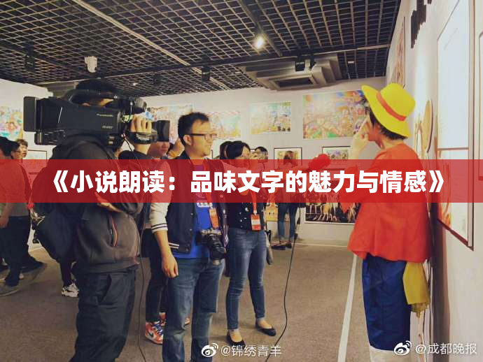 《小说朗读：品味文字的魅力与情感》
