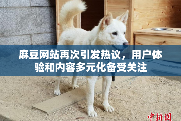 麻豆网站再次引发热议，用户体验和内容多元化备受关注