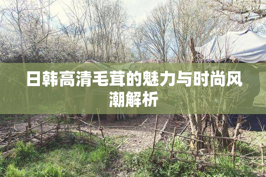 日韩高清毛茸的魅力与时尚风潮解析