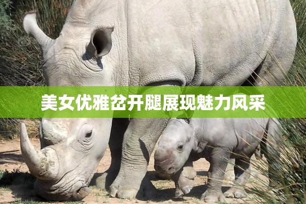 美女优雅岔开腿展现魅力风采