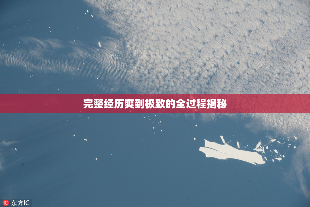 完整经历爽到极致的全过程揭秘