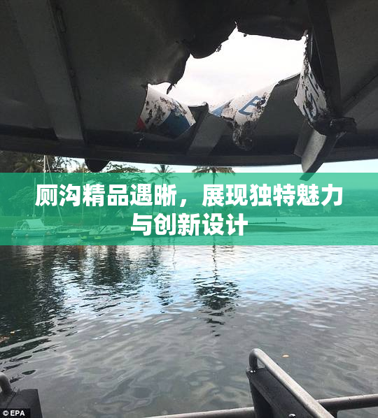 厕沟精品遇晰，展现独特魅力与创新设计