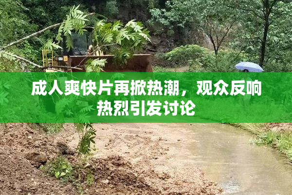 成人爽快片再掀热潮，观众反响热烈引发讨论