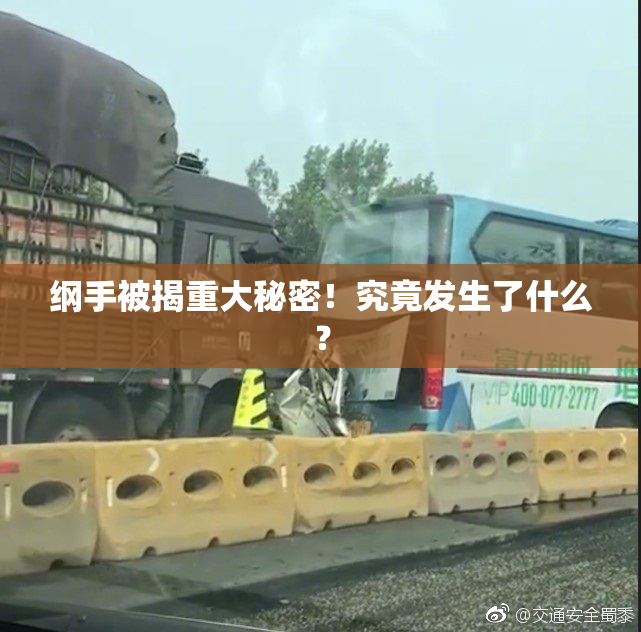 纲手被揭重大秘密！究竟发生了什么？