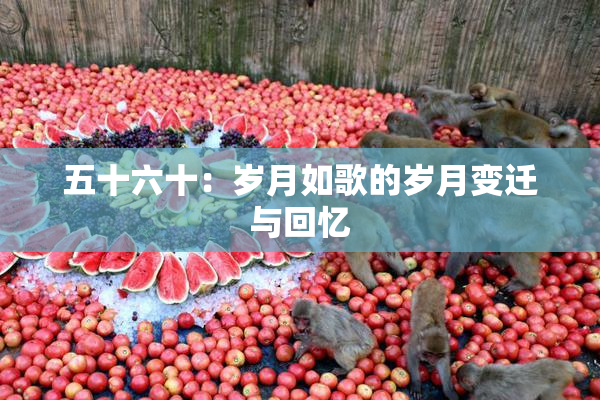 五十六十：岁月如歌的岁月变迁与回忆