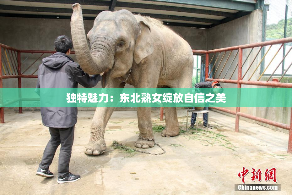 独特魅力：东北熟女绽放自信之美