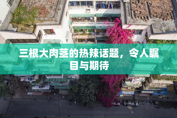 三根大肉茎的热辣话题，令人瞩目与期待