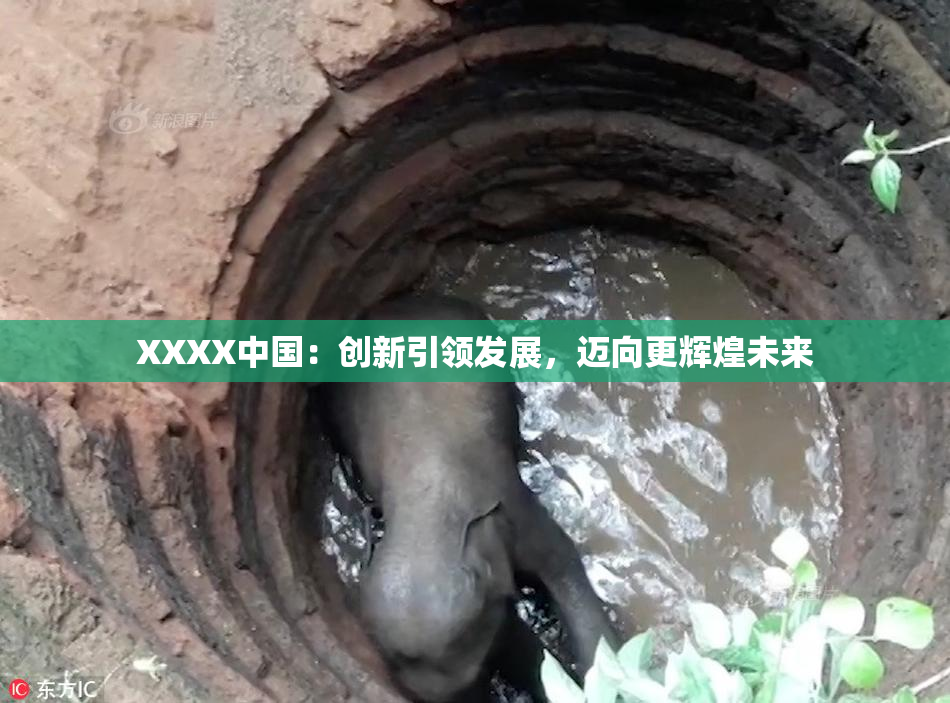 XXXX中国：创新引领发展，迈向更辉煌未来
