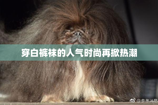 穿白裤袜的人气时尚再掀热潮