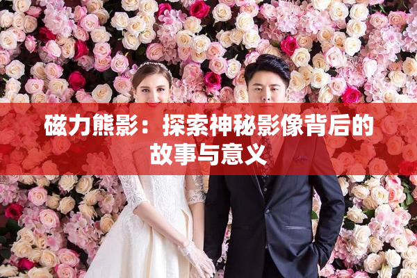 磁力熊影：探索神秘影像背后的故事与意义
