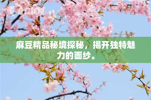 麻豆精品秘境探秘，揭开独特魅力的面纱。