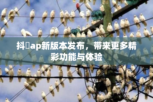 抖抈ap新版本发布，带来更多精彩功能与体验