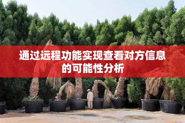 通过远程功能实现查看对方信息的可能性分析