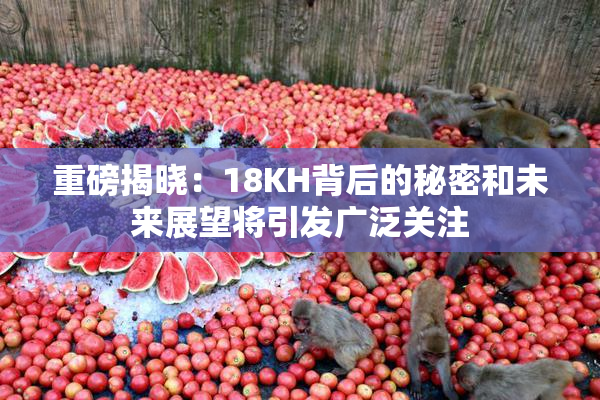 重磅揭晓：18KH背后的秘密和未来展望将引发广泛关注