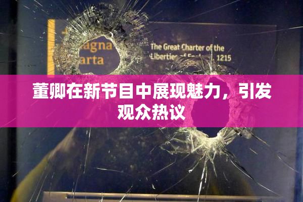 董卿在新节目中展现魅力，引发观众热议