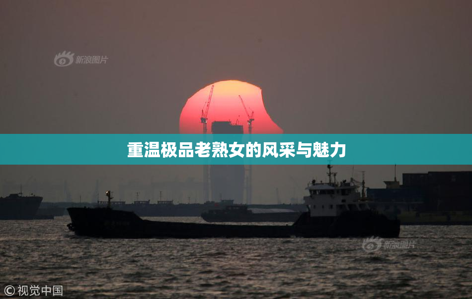 重温极品老熟女的风采与魅力