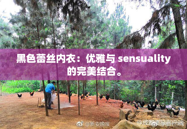 黑色蕾丝内衣：优雅与 sensuality的完美结合。