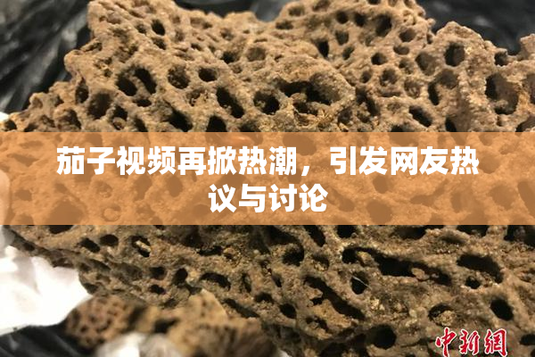 茄子视频再掀热潮，引发网友热议与讨论