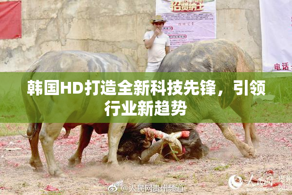 韩国HD打造全新科技先锋，引领行业新趋势
