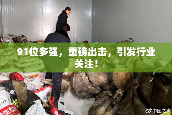 91位多强，重磅出击，引发行业关注！