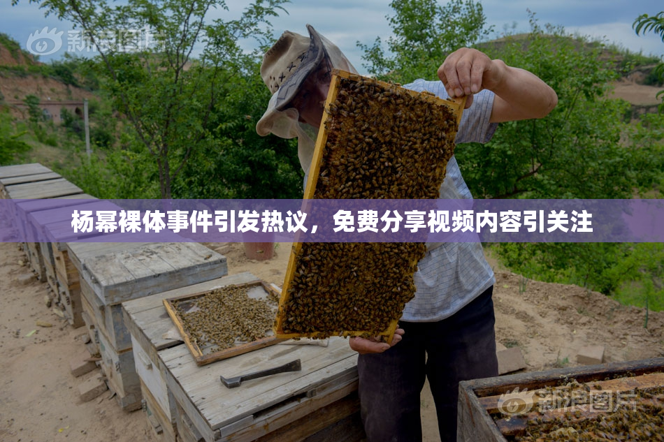 杨幂裸体事件引发热议，免费分享视频内容引关注