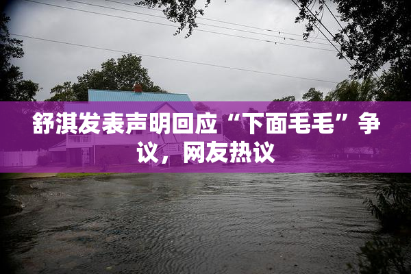 舒淇发表声明回应“下面毛毛”争议，网友热议