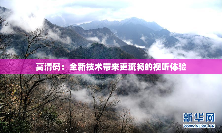 高清码：全新技术带来更流畅的视听体验