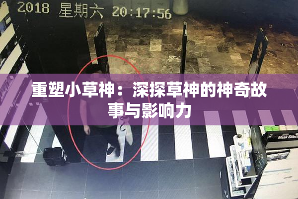 重塑小草神：深探草神的神奇故事与影响力