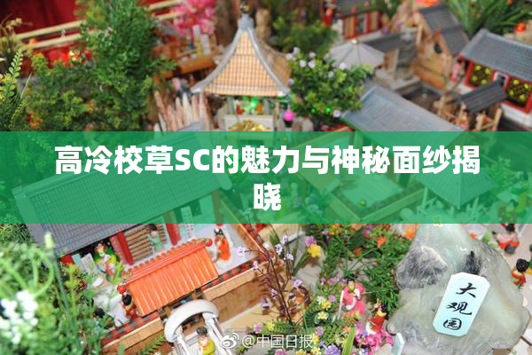 高冷校草SC的魅力与神秘面纱揭晓