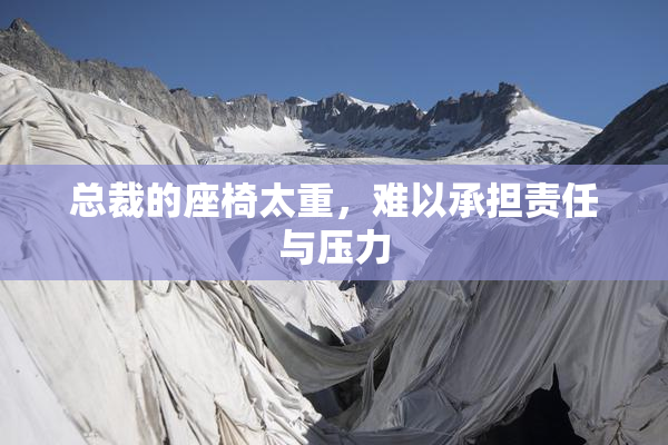 总裁的座椅太重，难以承担责任与压力