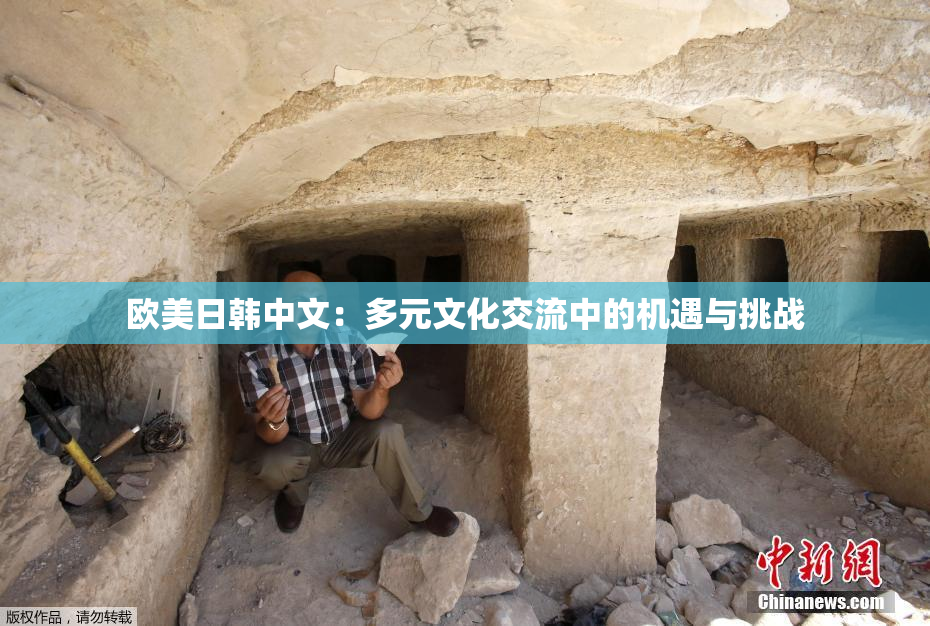 欧美日韩中文：多元文化交流中的机遇与挑战