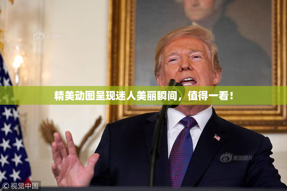 精美动图呈现迷人美丽瞬间，值得一看！