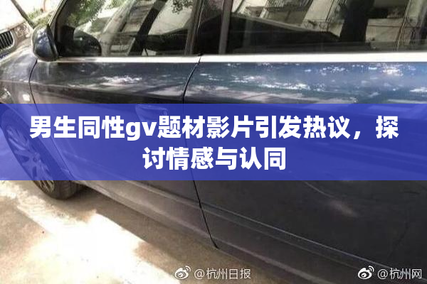 男生同性gv题材影片引发热议，探讨情感与认同